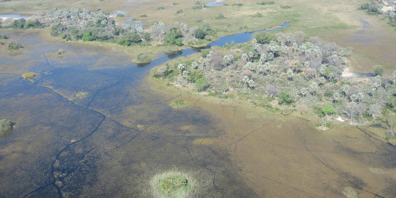 Bagna Okawango