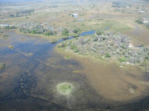 bagno okawango