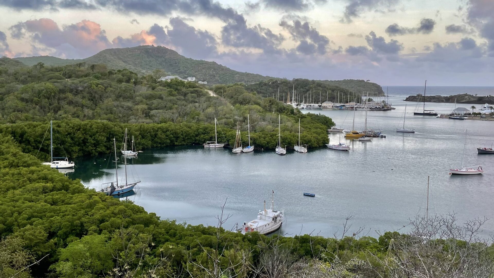 Przyroda i krajobraz Antigua i Barbuda