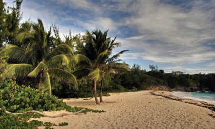 Barbados: co zobaczyć, kiedy jechać i koszty