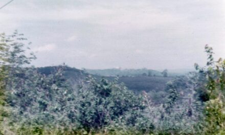 Belize: co zobaczyć, kiedy jechać i koszty