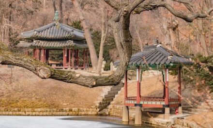 Korea Południowa: co zobaczyć, kiedy jechać i koszty