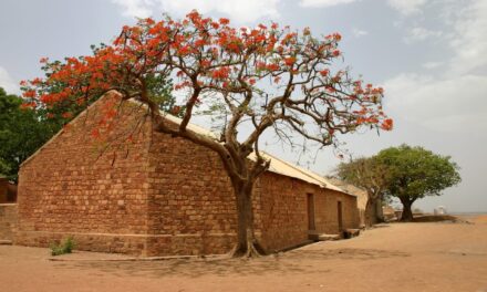 Mali: co zobaczyć, kiedy jechać i koszty