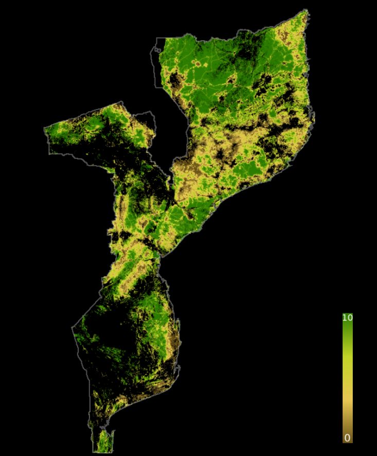 Przyroda i krajobraz Mozambik