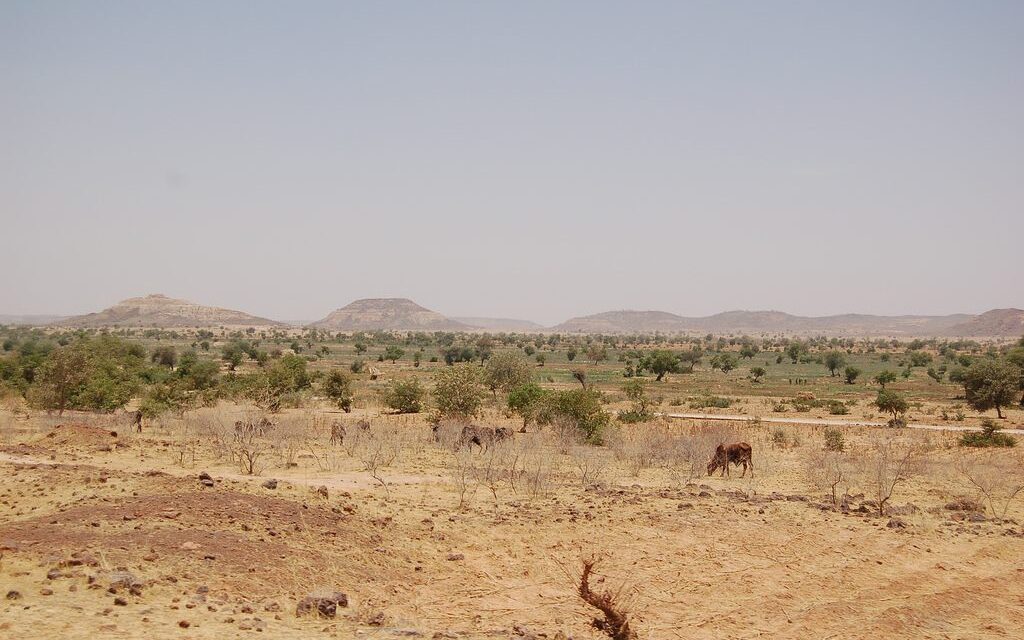 Niger: co zobaczyć, kiedy jechać i koszty
