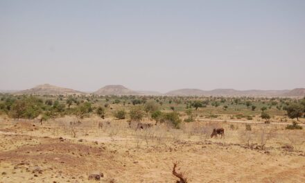 Niger: co zobaczyć, kiedy jechać i koszty