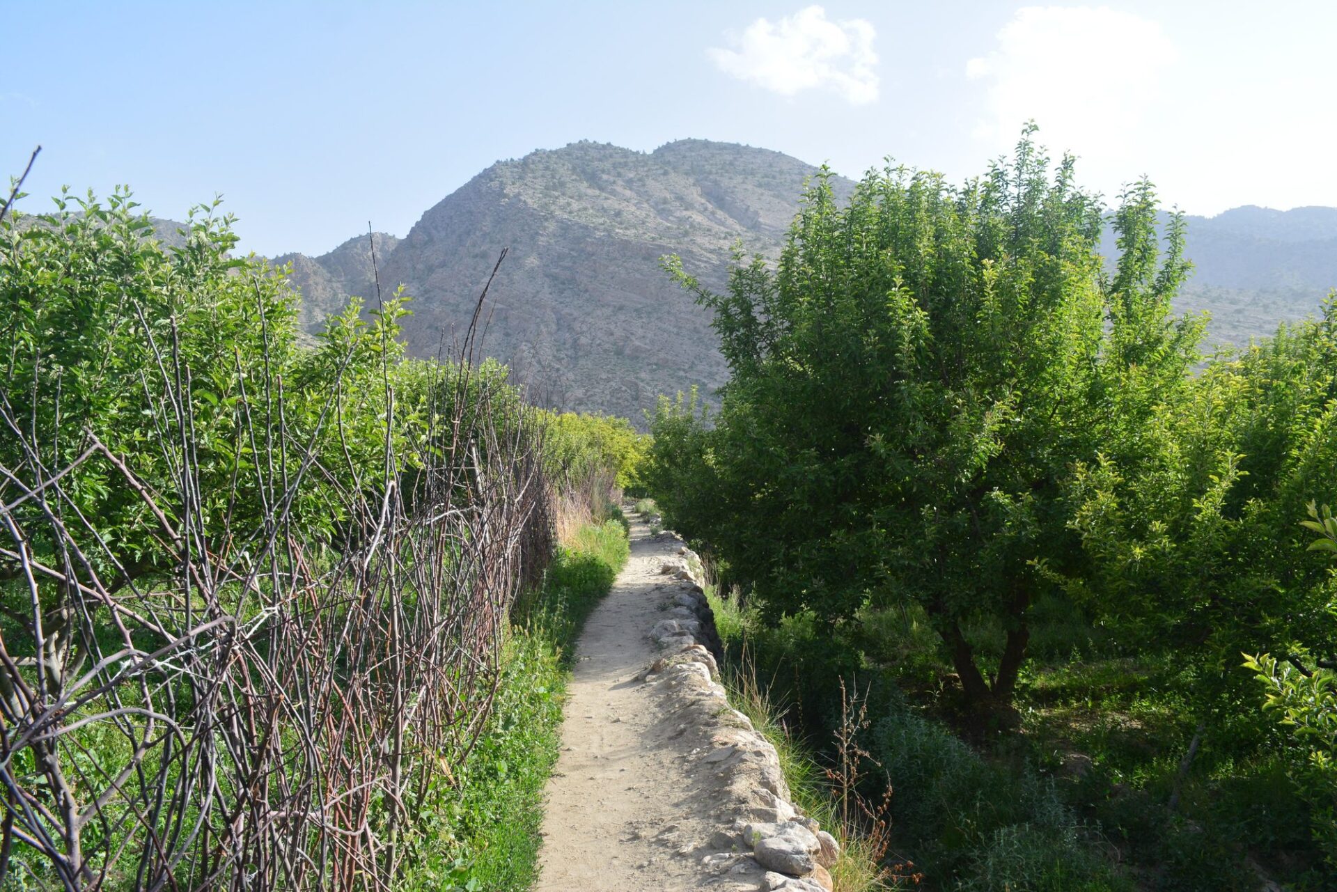 Przyroda i krajobraz Pakistan