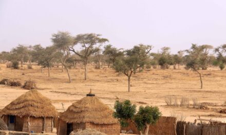 Senegal: co zobaczyć, kiedy jechać i koszty