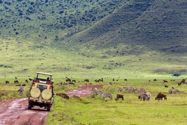 Widok krajobrazowy w Tanzania