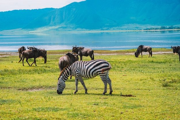Atrakcje turystyczne w Tanzania