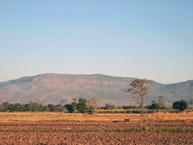 Przyroda i krajobraz Togo