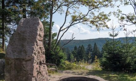 Pradawne i Pierwotne Lasy Bukowe Karpat oraz Innych Regionów