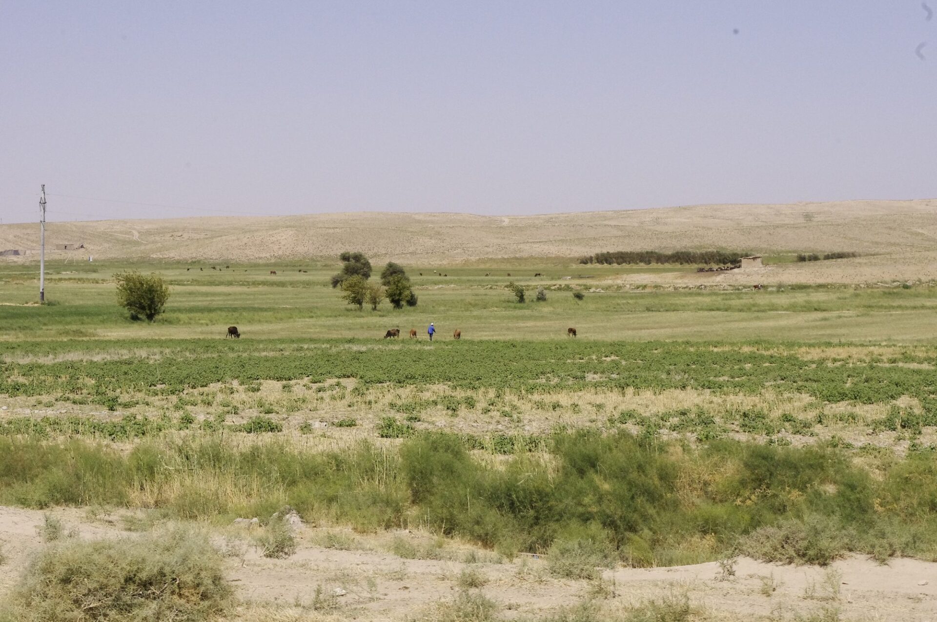 Popularne miejsce turystyczne w Uzbekistan: co zobaczyć, kiedy jechać i koszty