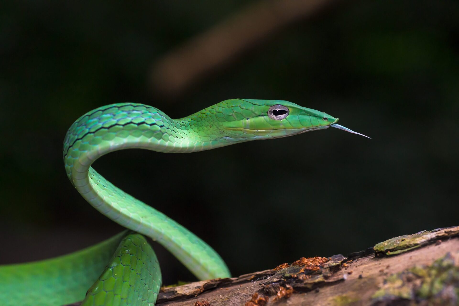 Popularne miejsce turystyczne w Wielka Brytania: co zobaczyć, kiedy jechać i koszty