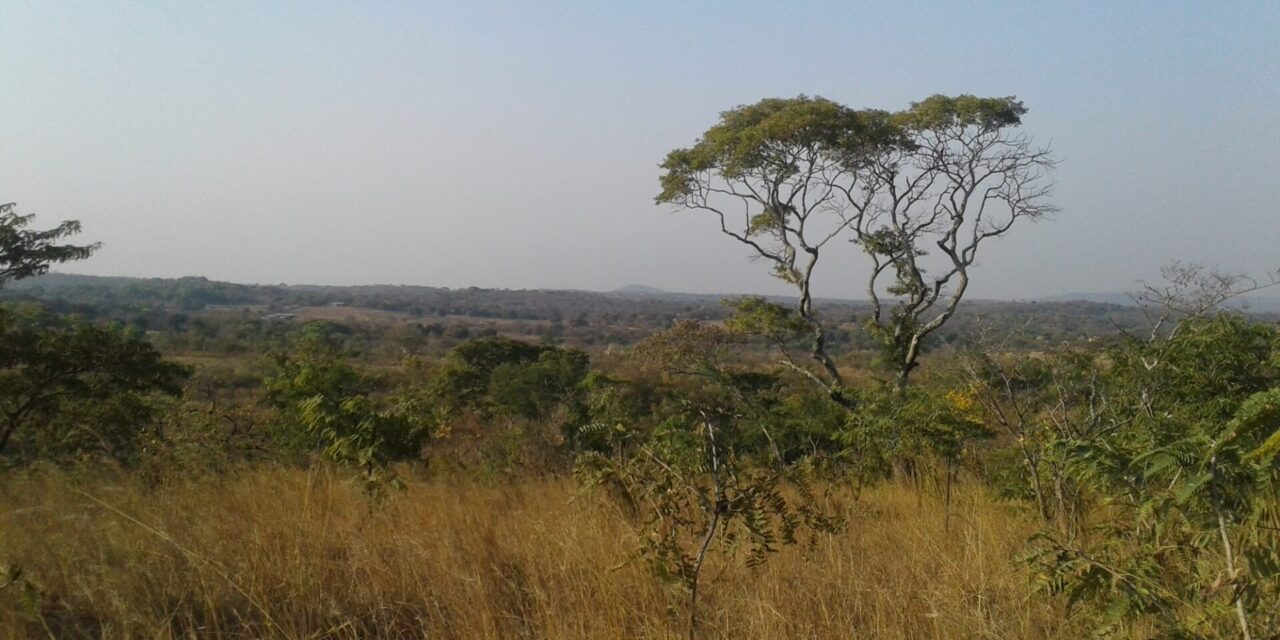 Zambia: co zobaczyć, kiedy jechać i koszty