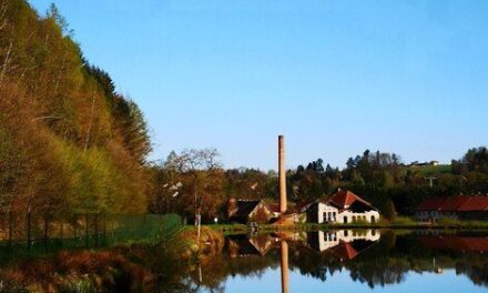 Fertő / Neusiedlersee – jak zwiedzać unikalny krajobraz