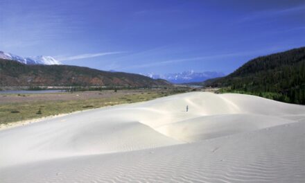 Kluane / Wrangell-St. Elias / Glacier Bay / Tatshenshini-Alsek