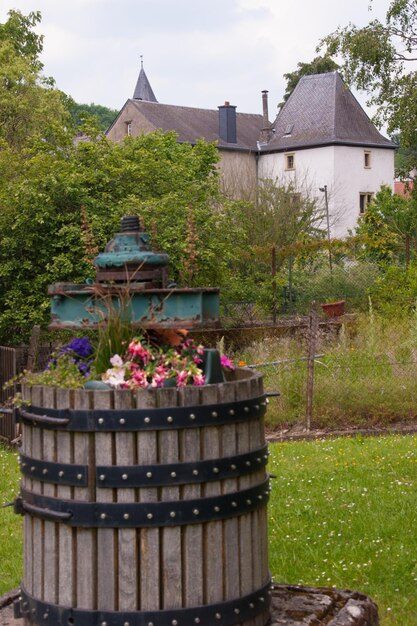 Przyroda i krajobraz The Great Spa Towns of Europe
