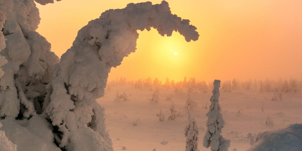Cold Winter Deserts of Turan – praktyczny przewodnik po