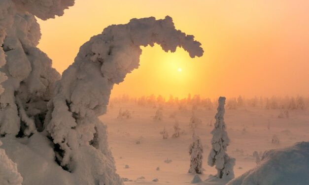 Cold Winter Deserts of Turan – praktyczny przewodnik po