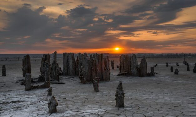 Krajobrazy Daurii (Landscapes of Dauria) – praktyczny