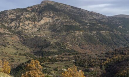 Monte San Giorgio – praktyczny przewodnik po „górze