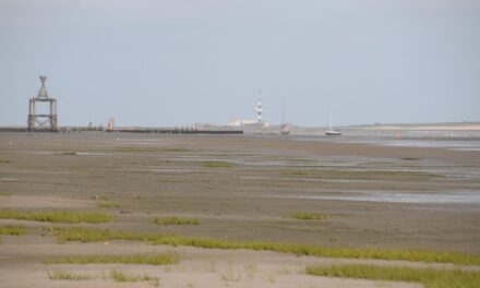 Morze Wattowe (Wadden Sea) – Praktyczny przewodnik po