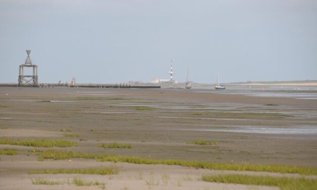 Morze Wattowe (Wadden Sea) – Praktyczny przewodnik po