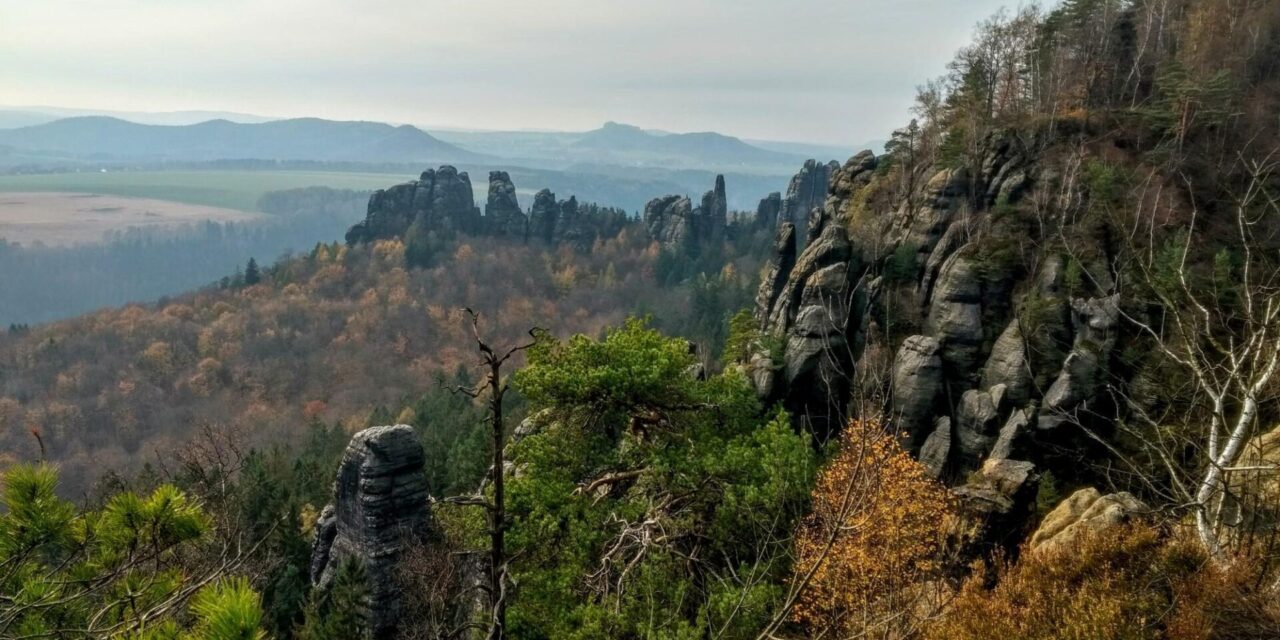 Mount Nimba Strict Nature Reserve – jak zwiedzać rezerwat