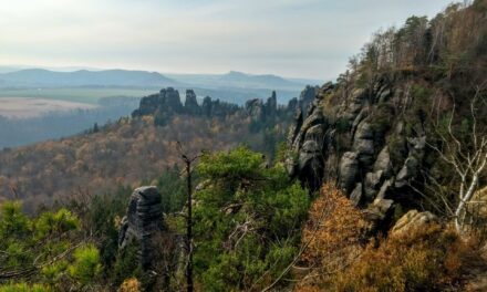 Mount Nimba Strict Nature Reserve – jak zwiedzać rezerwat