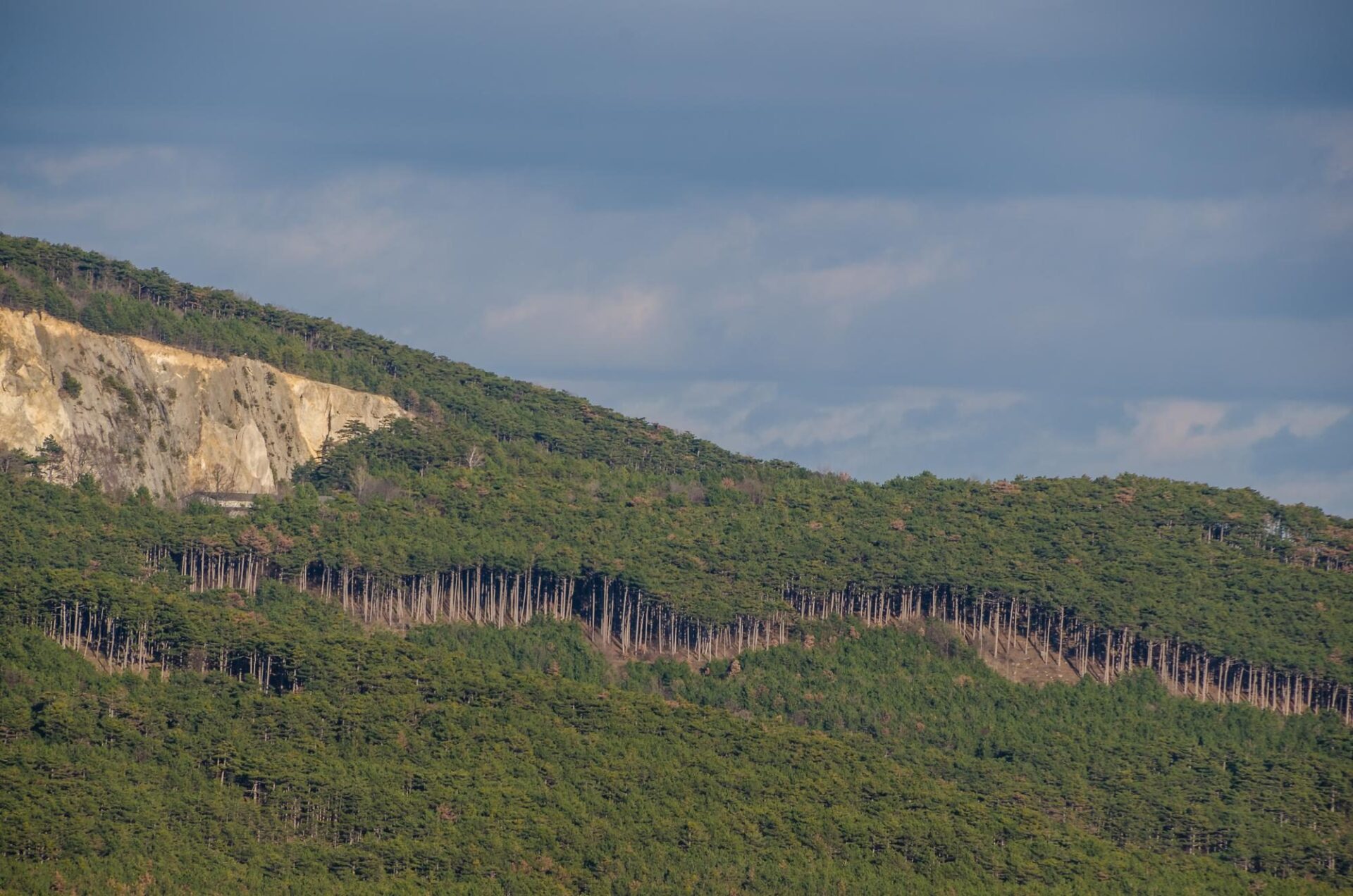 Atrakcje turystyczne w Mount Nimba Strict Nature Reserve – jak zwiedzać rezerwat