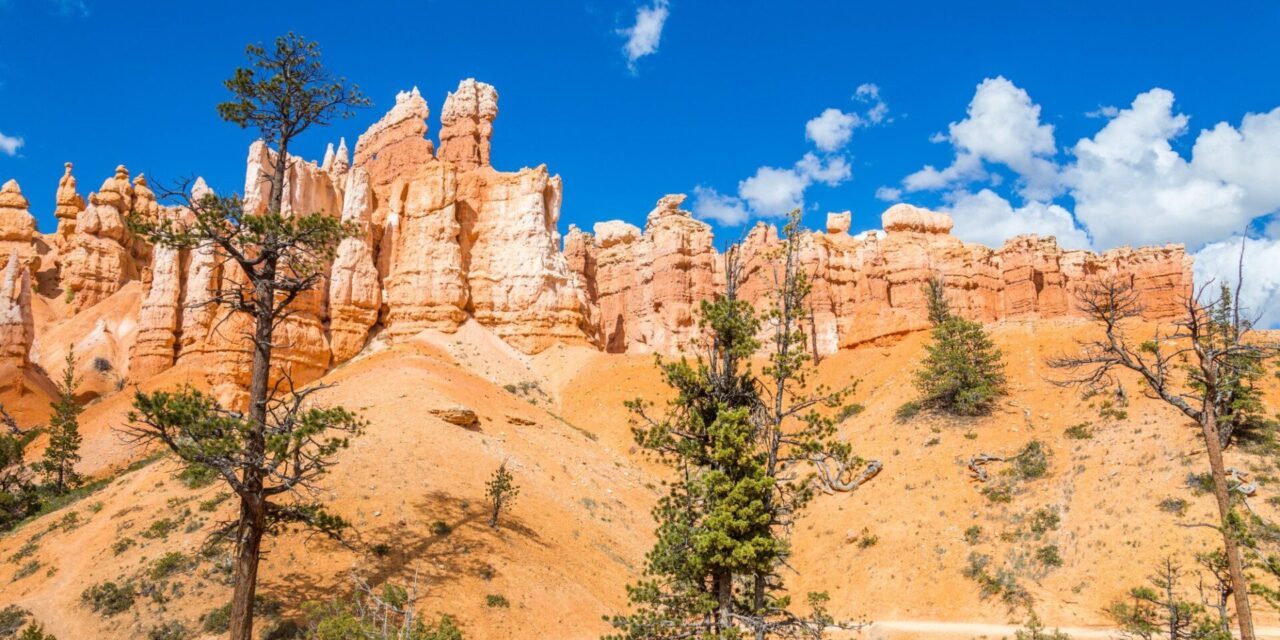 Parki Narodowe Ischigualasto i Talampaya – Kompletny