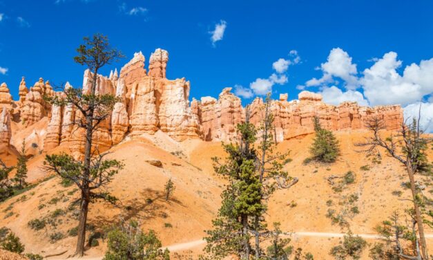 Parki Narodowe Ischigualasto i Talampaya – Kompletny
