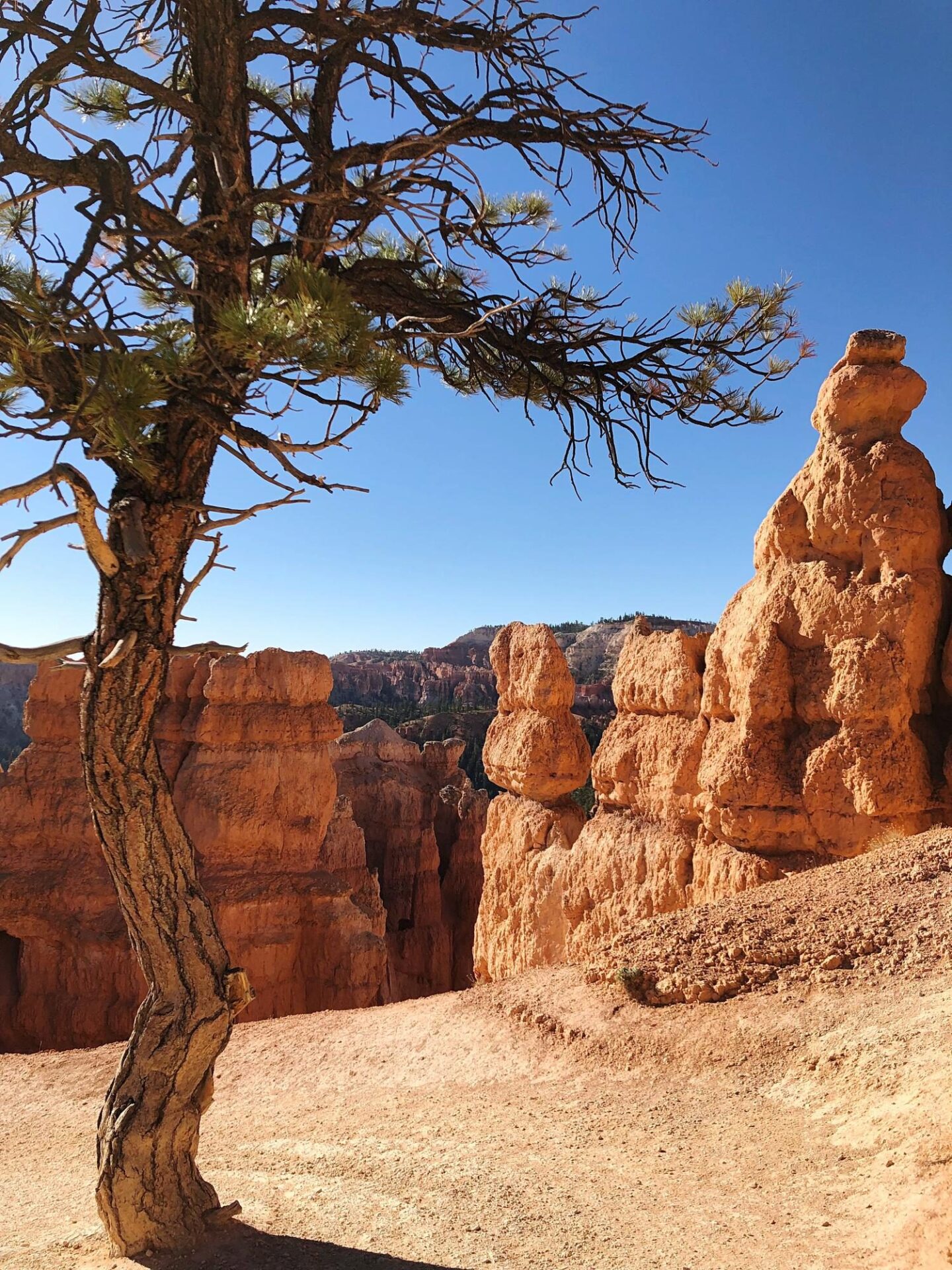 Atrakcje turystyczne w Parki Narodowe Ischigualasto i Talampaya – Kompletny