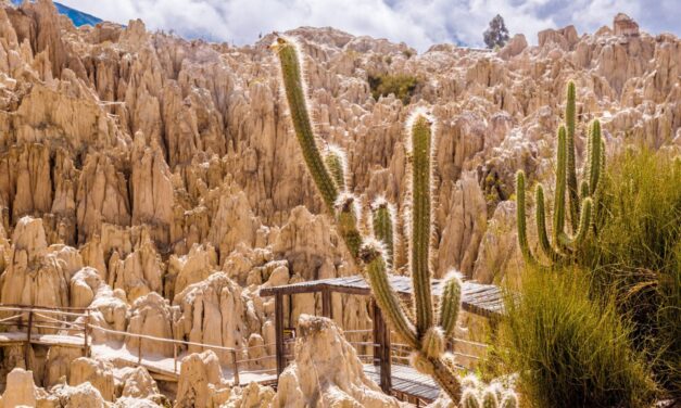 Quebrada de Humahuaca – Jak zwiedzać, co zobaczyć, praktyczne