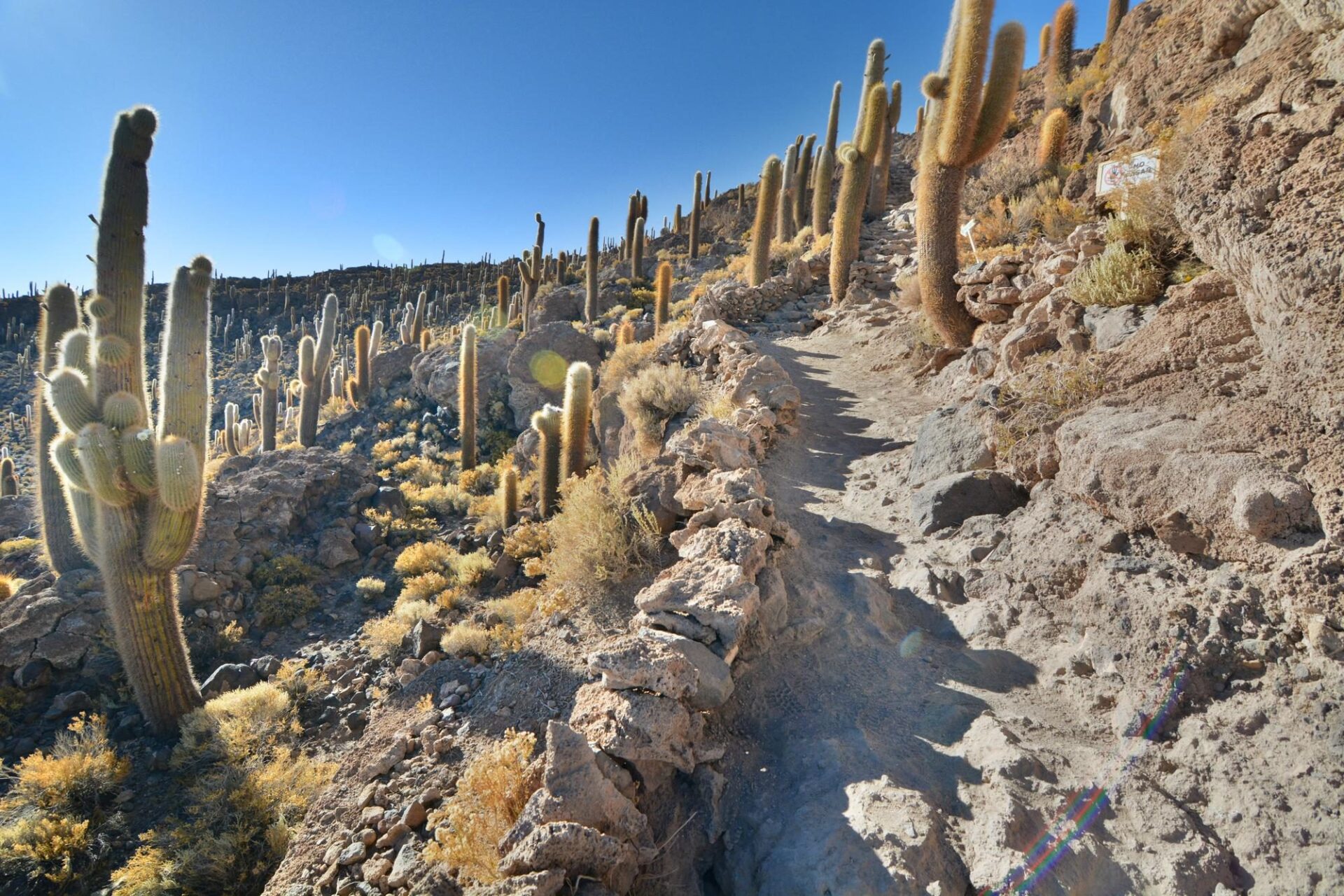Atrakcje turystyczne w Quebrada de Humahuaca – Jak zwiedzać, co zobaczyć, praktyczne