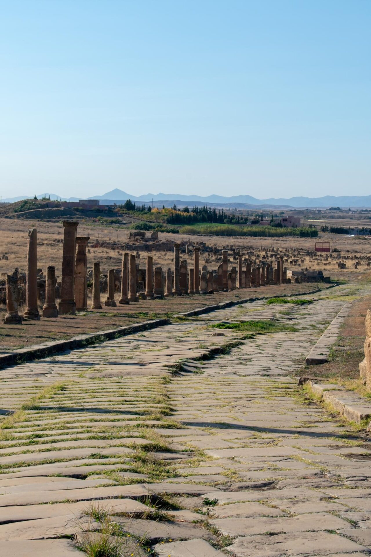 Przyroda i krajobraz Timgad – przewodnik praktyczny po rzymskim mieście w Algierii