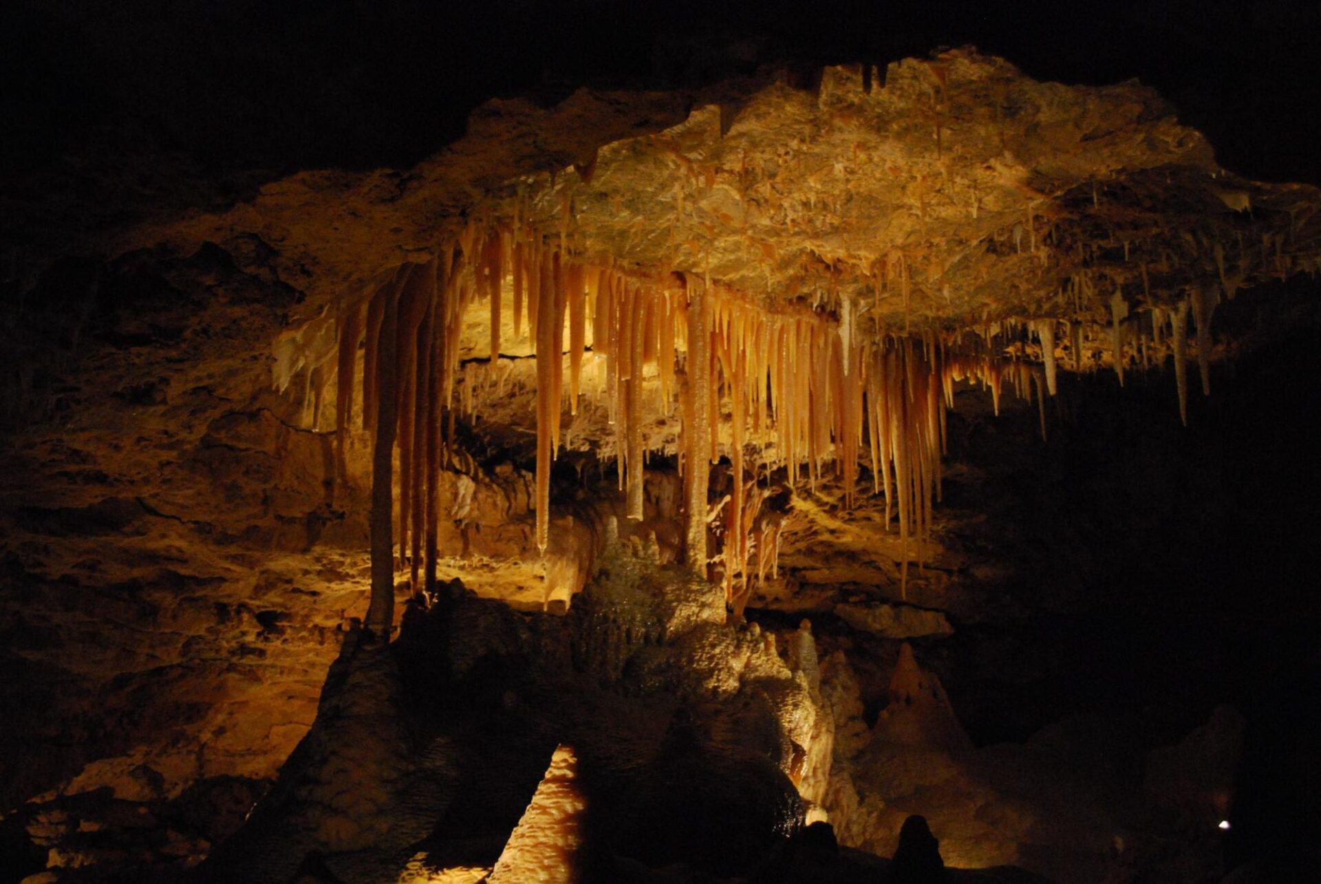 Przyroda i krajobraz Australian Fossil Mammal Sites (Riversleigh/Naracoorte) – jak