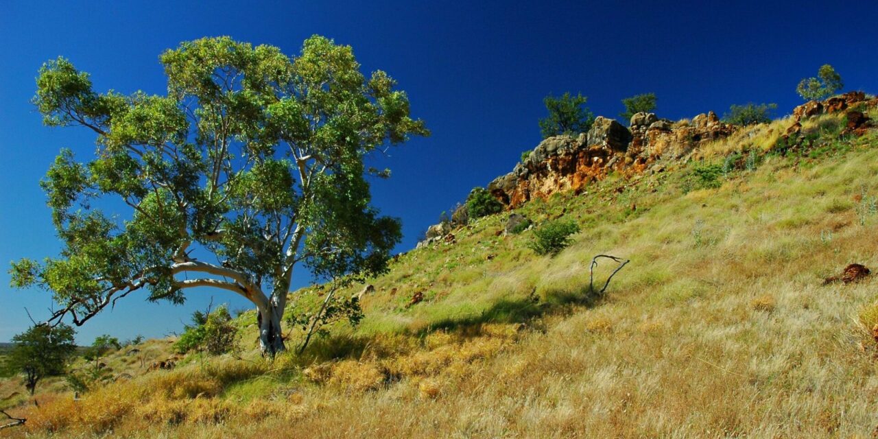 Australian Fossil Mammal Sites (Riversleigh/Naracoorte) – jak