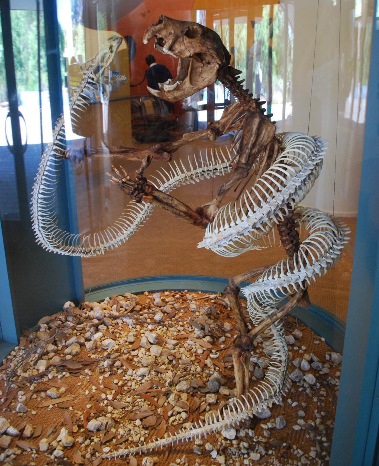 Atrakcje turystyczne w Australian Fossil Mammal Sites (Riversleigh/Naracoorte) – jak