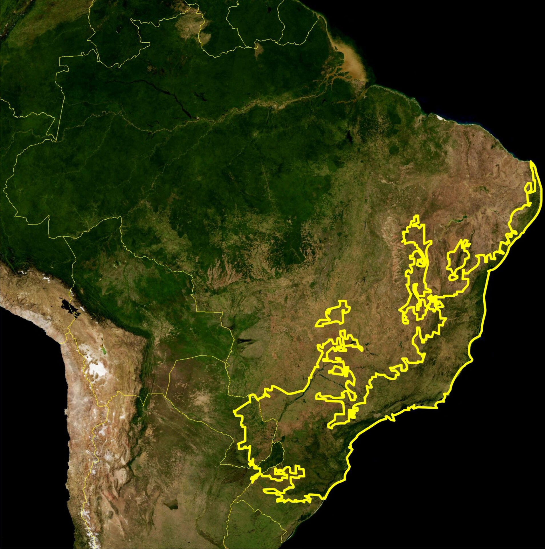Discovery Coast Atlantic Forest Reserves