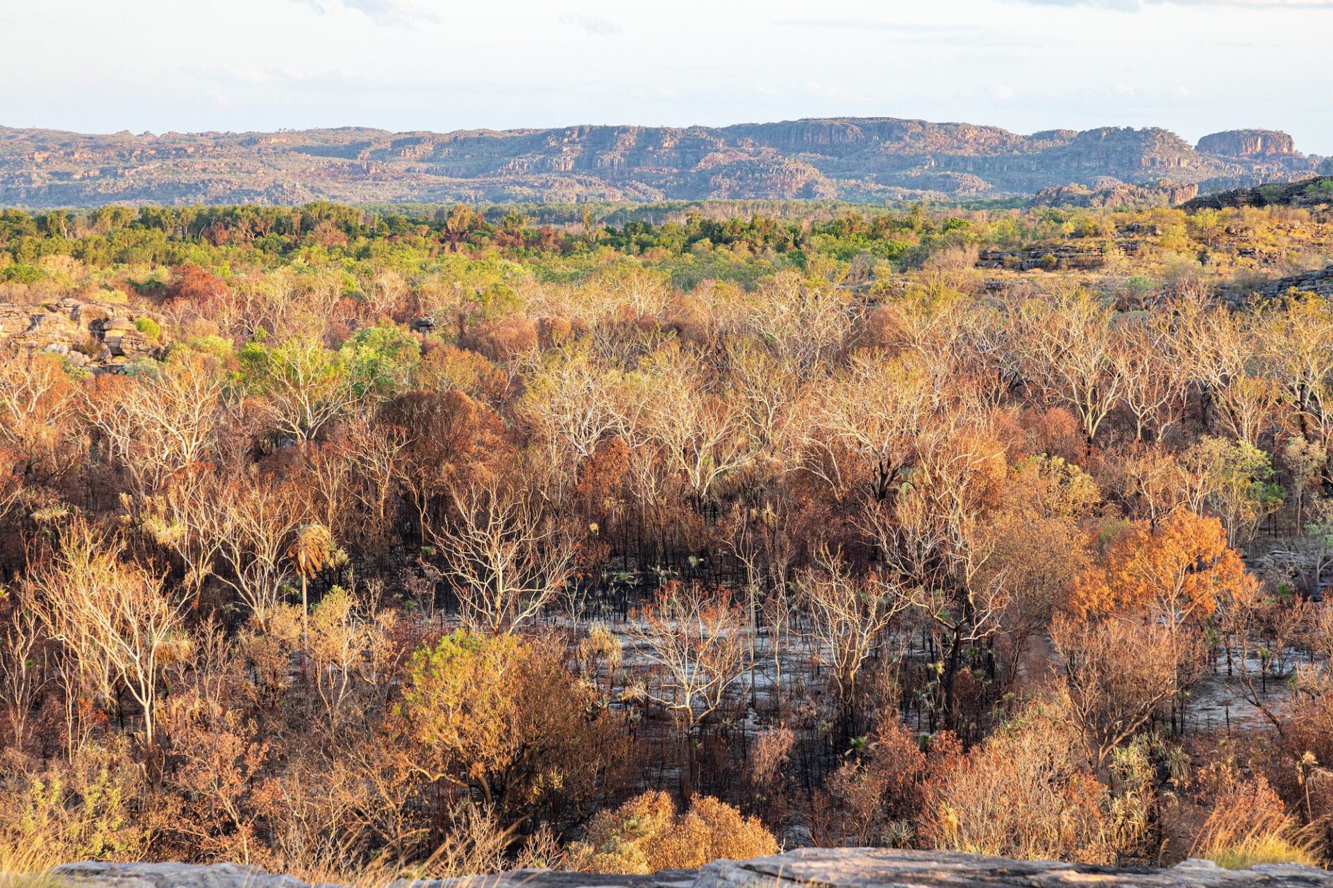 Kakadu National Park