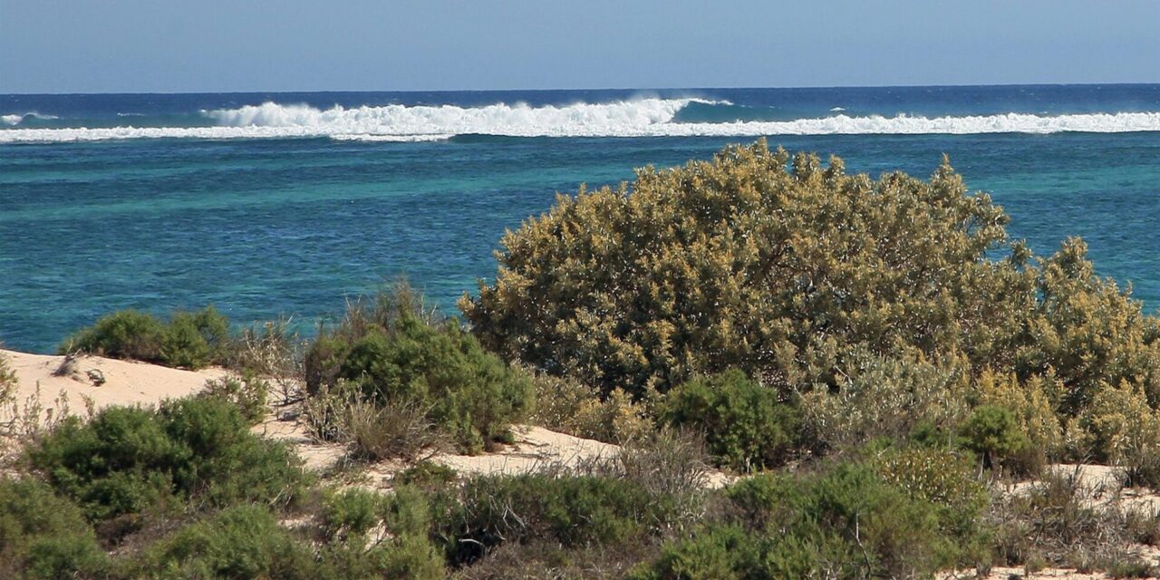 Wybrzeże Ningaloo