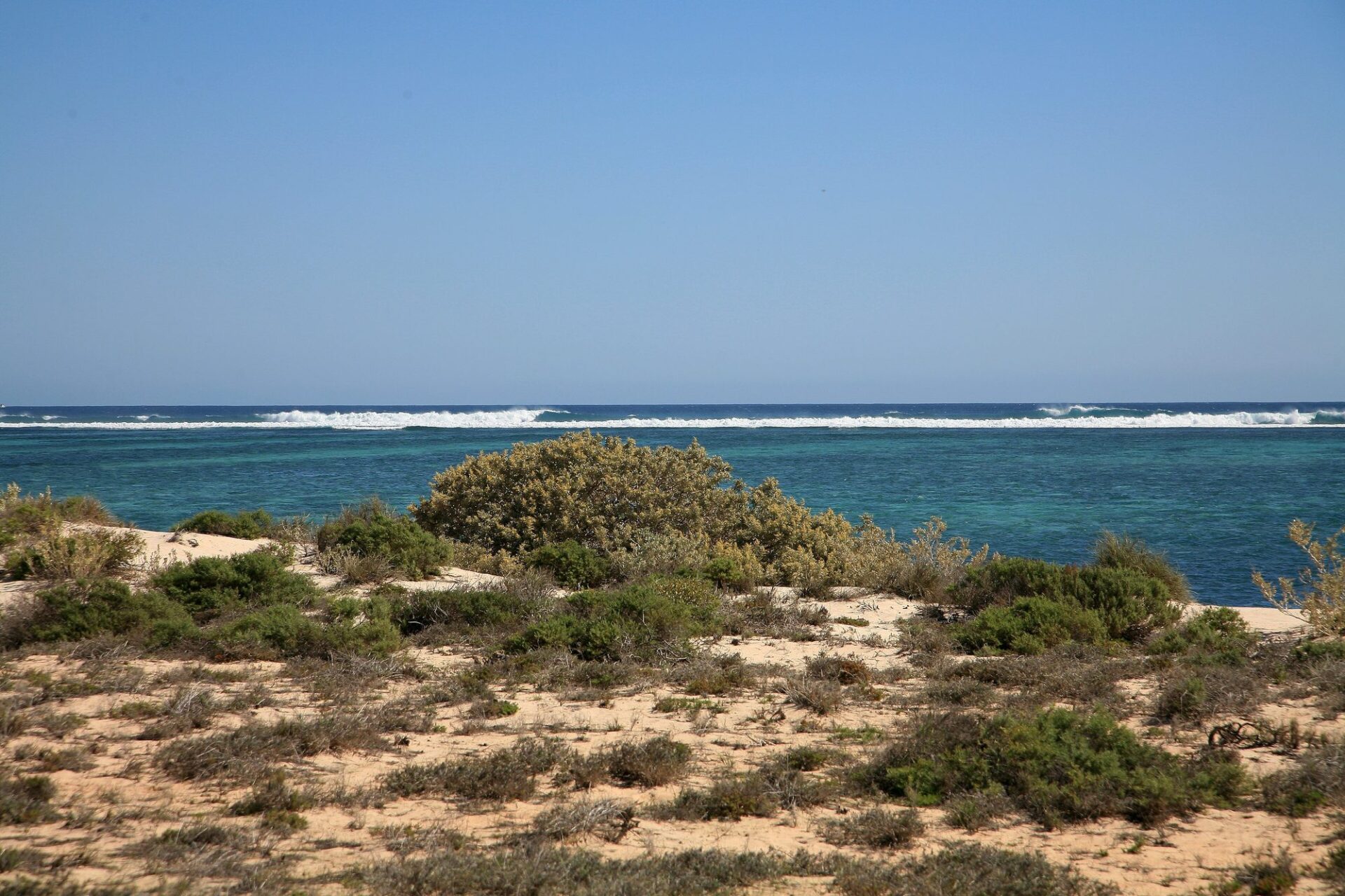 Wybrzeże Ningaloo