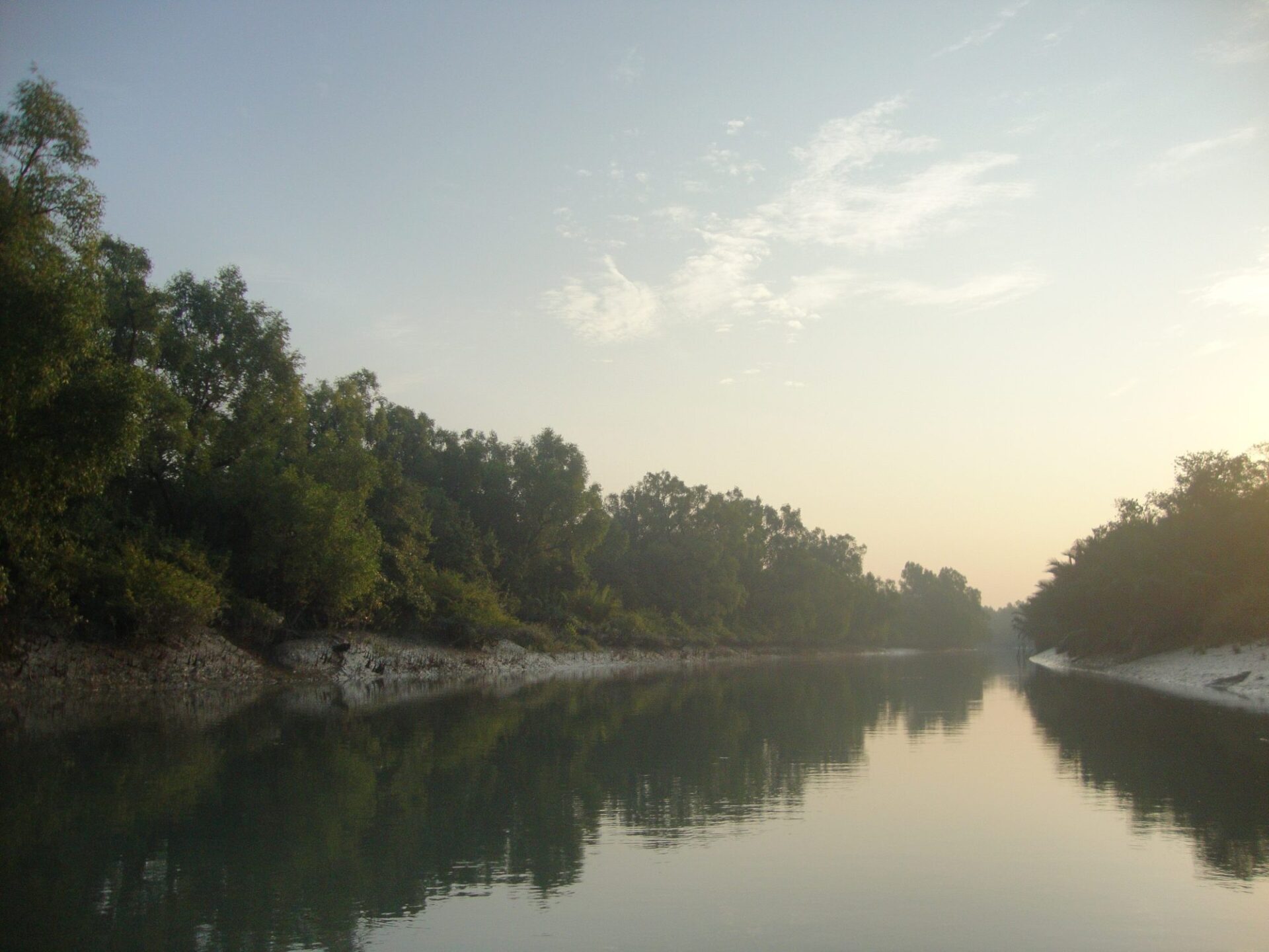 Sundarbany