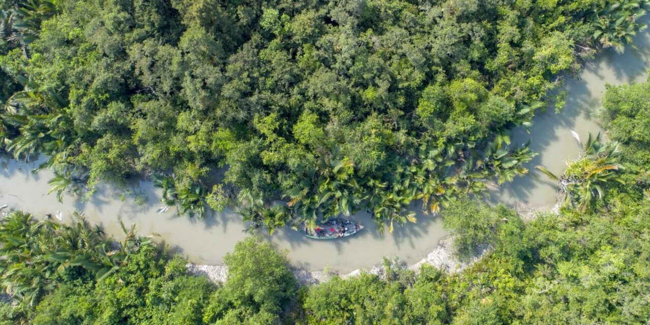 Sundarbany