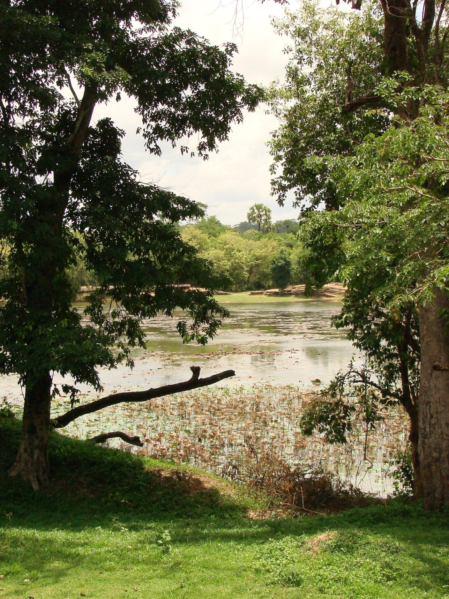Angkor