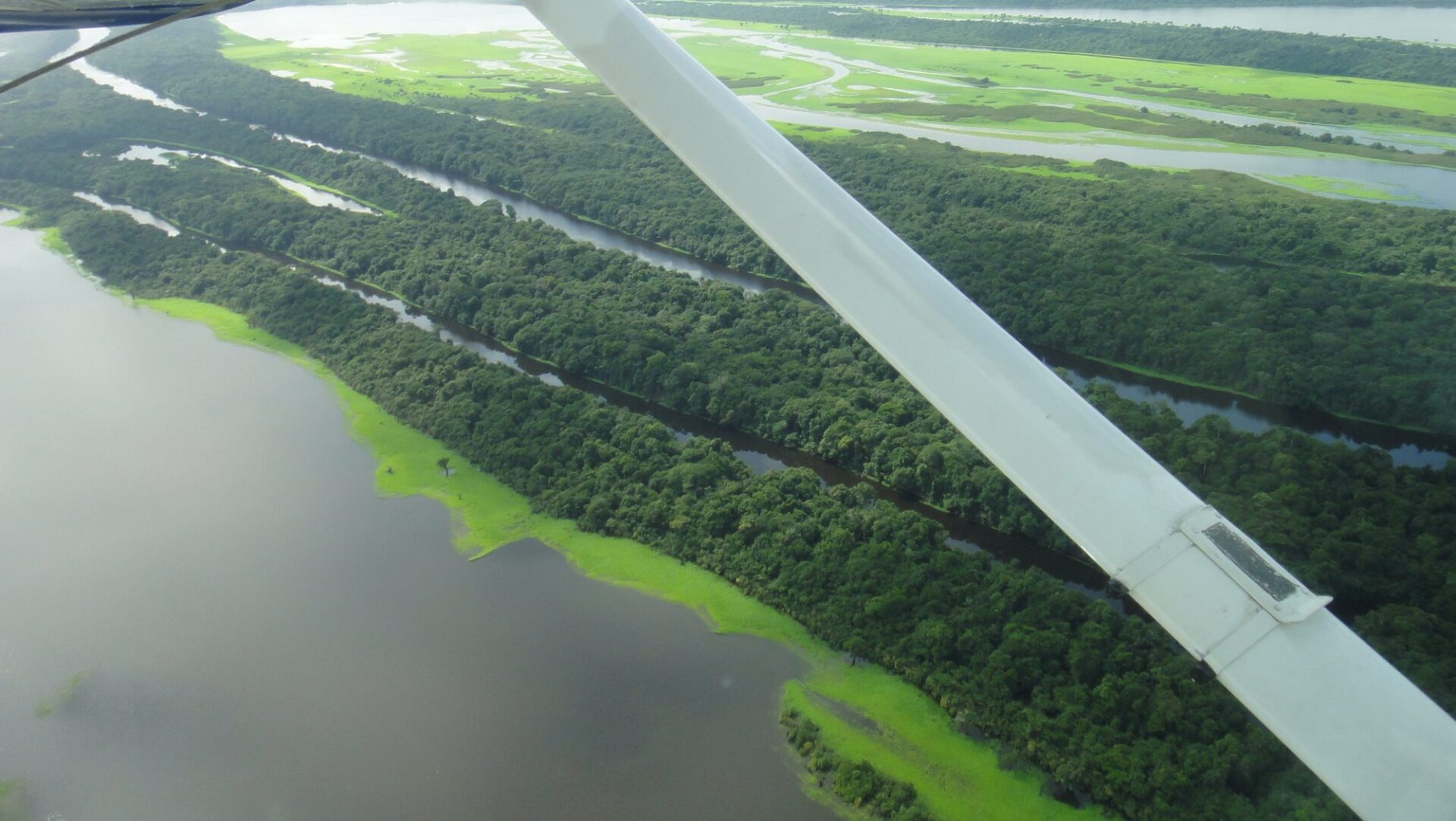 Centralny Kompleks Ochrony Amazonii