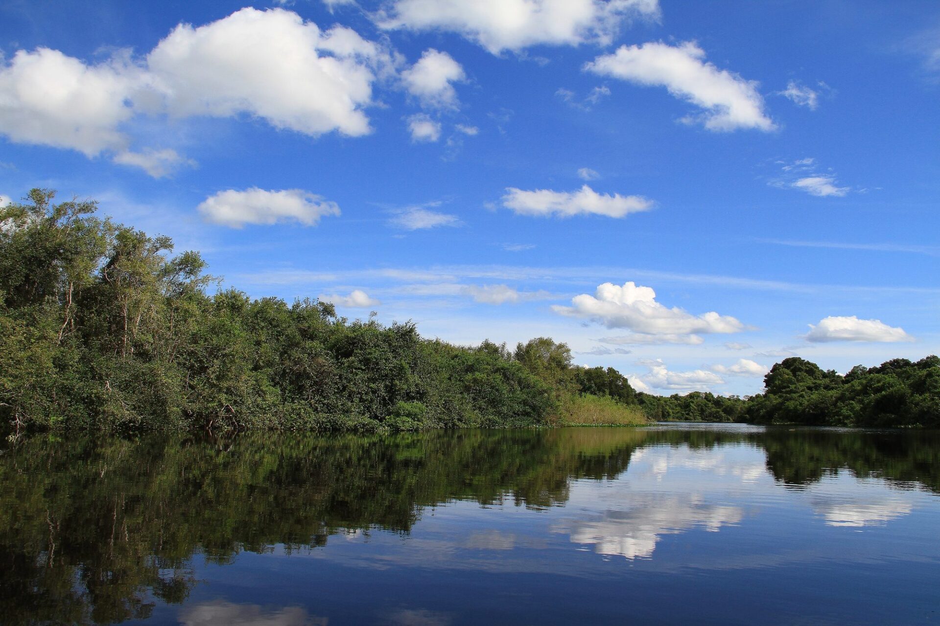 Pantanal Conservation Area