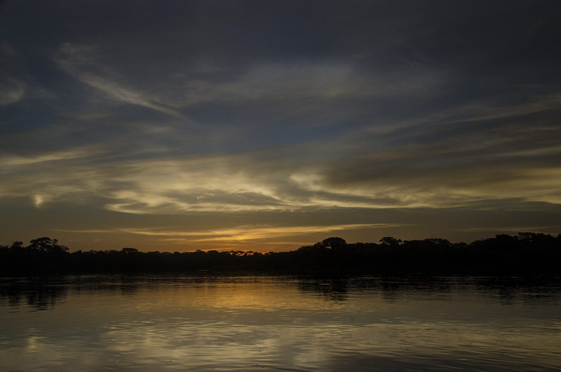 Pantanal Conservation Area